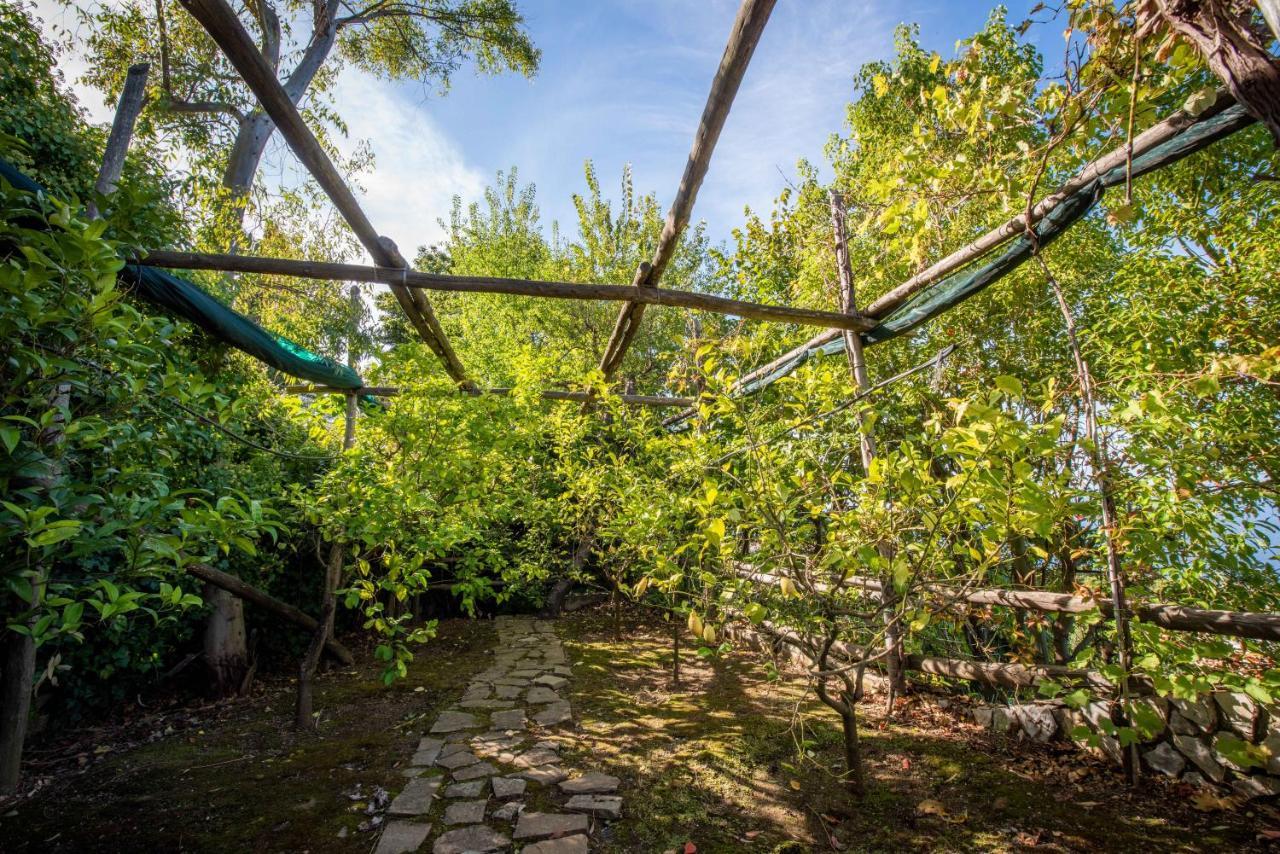 Villa Casa Angelica Península Sorrentina Exterior foto
